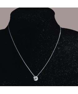 Luna y estrella
